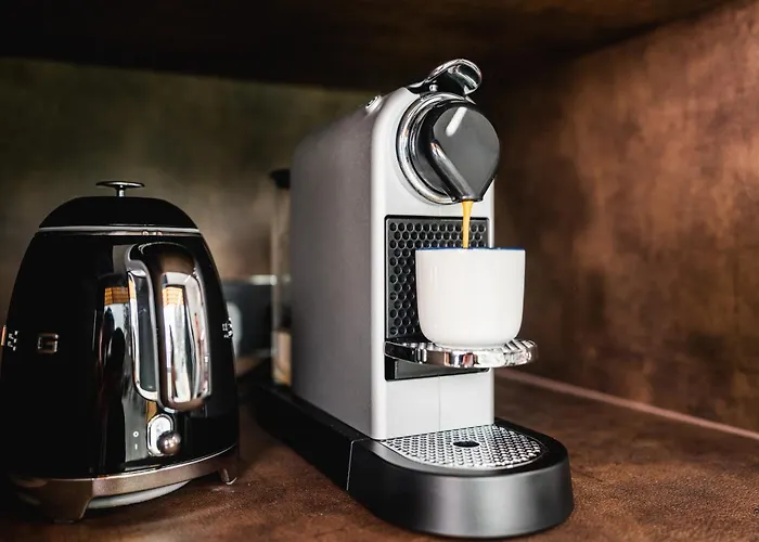 公寓 Ostravinka - Boutique House 俄斯特拉发